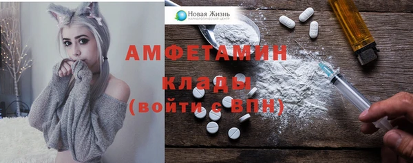 mdpv Вяземский